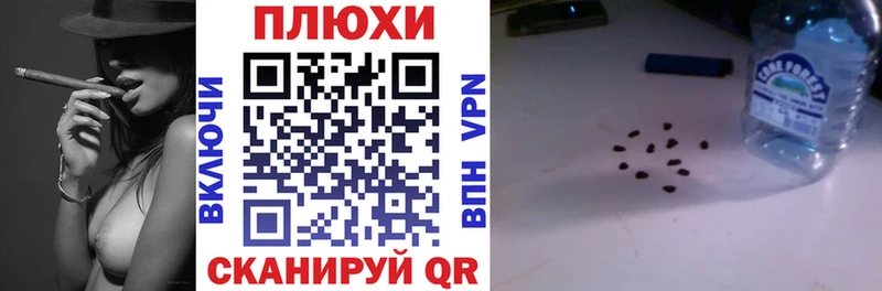 ГАШ Premium  Биробиджан 