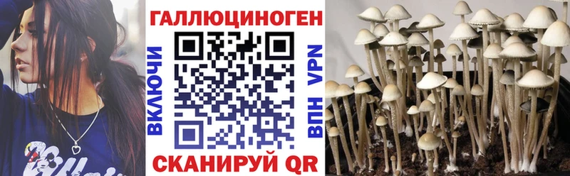 хочу   Биробиджан  Галлюциногенные грибы прущие грибы 